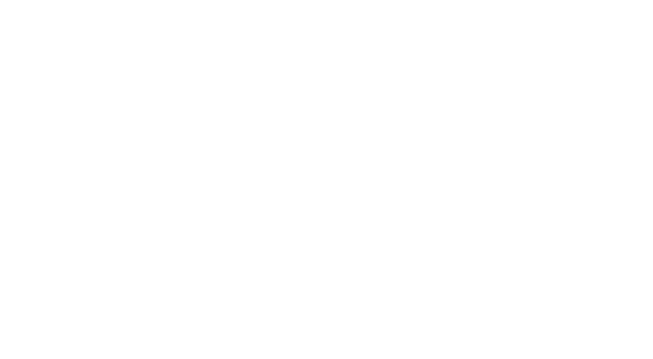 Dynaplus Rijncup logo